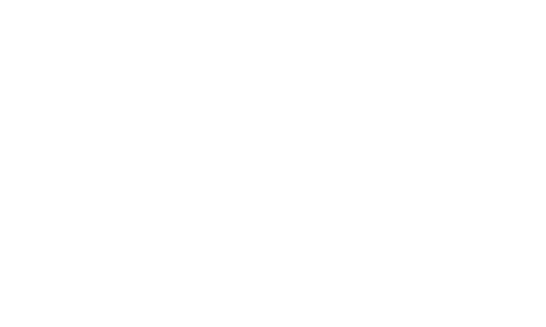 SPYWITNESS-NEWS-LOGO-WNC-300x113