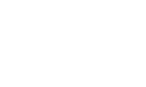 logo DS23